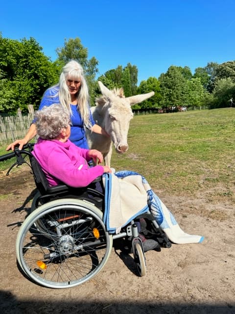 Tiergestützte Therapie